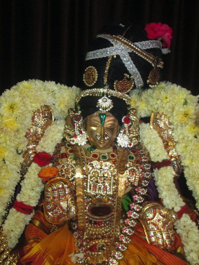 Pondicherry Sri Srinivasa Perumal Temple aadi velli thayar purappadu-2015-07