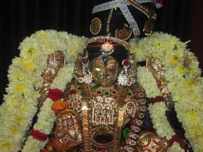 Pondicherry Sri Srinivasa Perumal Temple aadi velli thayar purappadu-2015-08