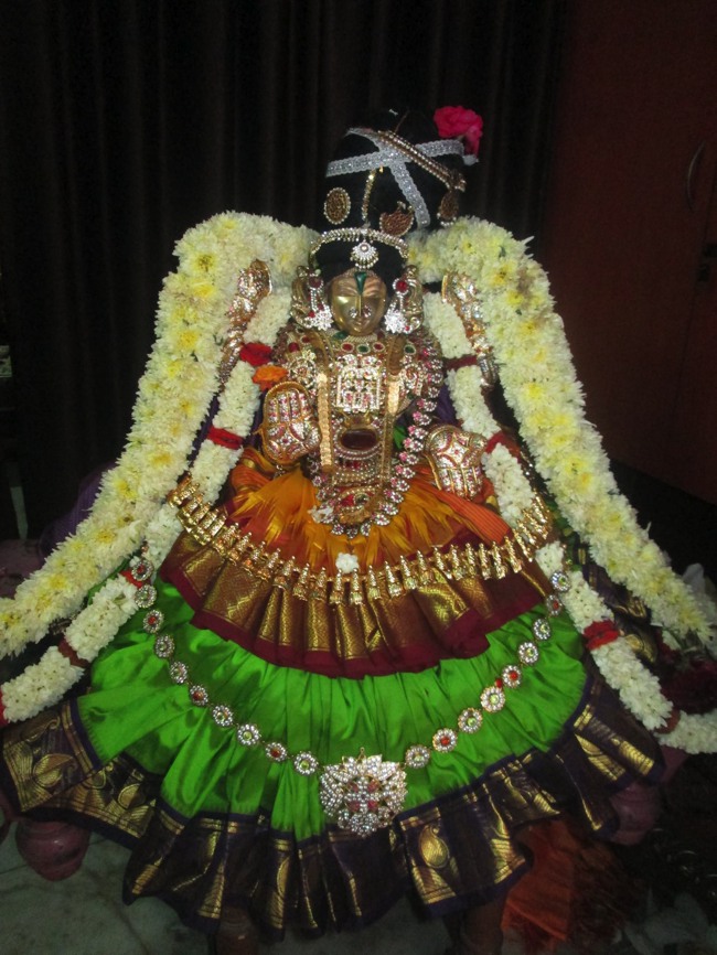 Pondicherry Sri Srinivasa Perumal Temple aadi velli thayar purappadu-2015-10