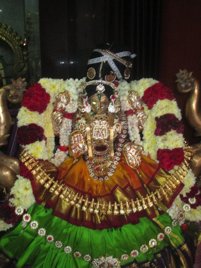 Pondicherry Sri Srinivasa Perumal Temple aadi velli thayar purappadu-2015-12