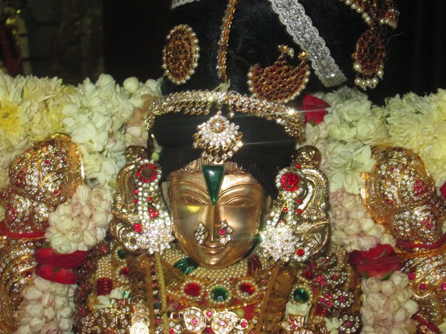 Pondicherry Sri Srinivasa Perumal Temple aadi velli thayar purappadu-2015-13