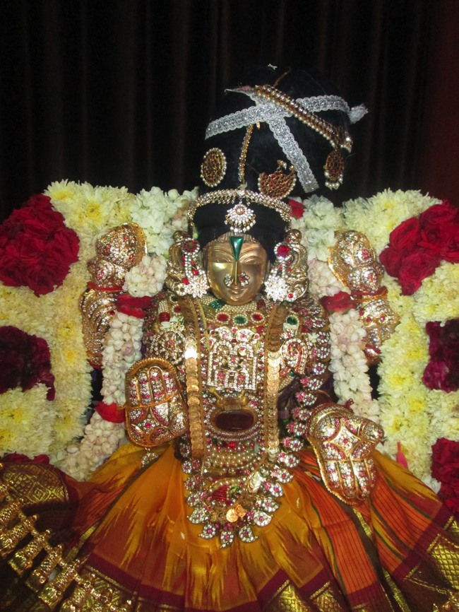 Pondicherry Sri Srinivasa Perumal Temple aadi velli thayar purappadu-2015-15