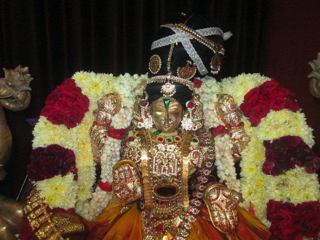 Pondicherry Sri Srinivasa Perumal Temple aadi velli thayar purappadu-2015-16