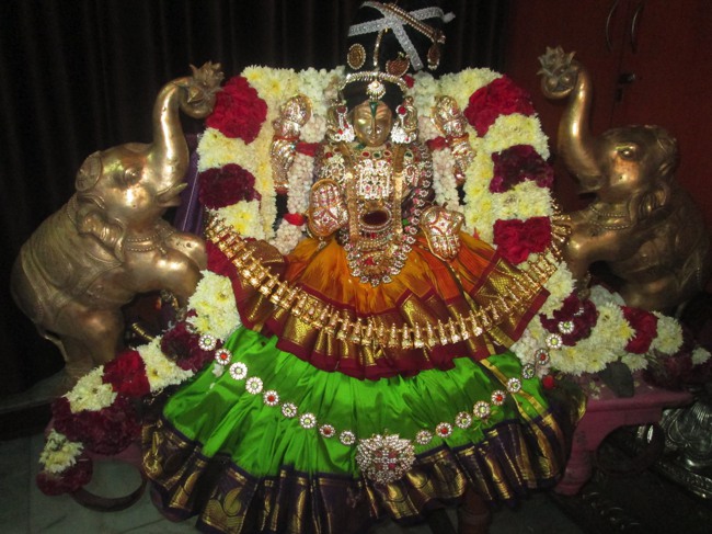 Pondicherry Sri Srinivasa Perumal Temple aadi velli thayar purappadu-2015-17