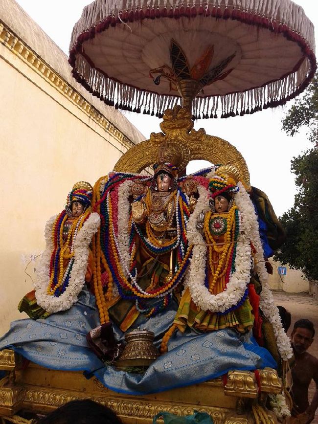Sirupuliyur Sri Krupasamudra Perumal kovil Pavithrotsava Purappadu 2015 02