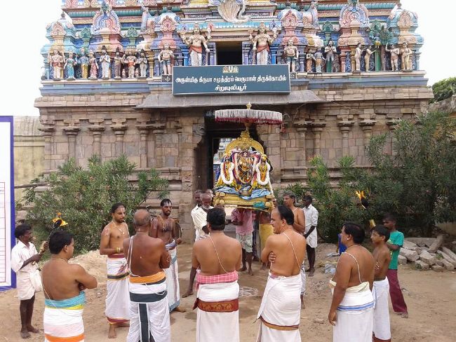 Sirupuliyur Sri Krupasamudra Perumal kovil Pavithrotsava Purappadu 2015 04