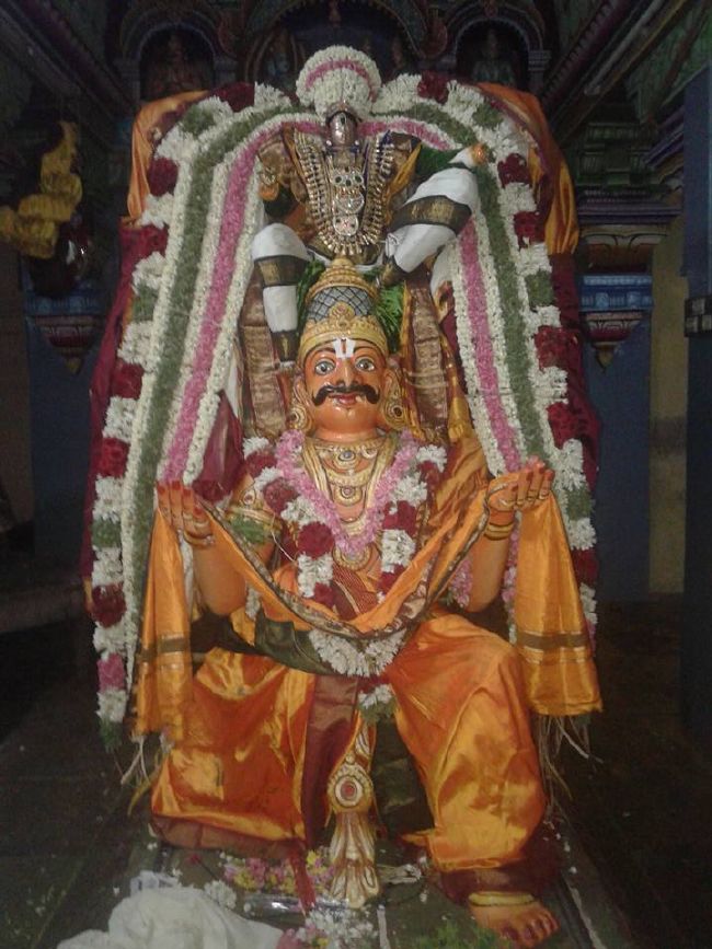 Sirupuliyur Sri Krupasamudra Perumal kovil Pavithrotsava Purappadu 2015 05