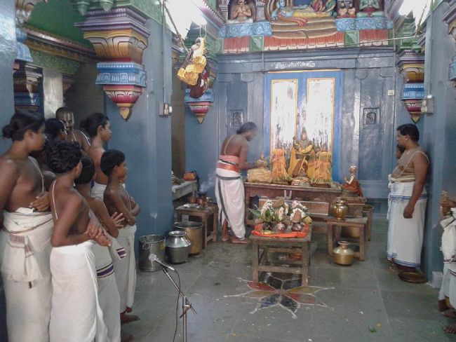Sirupuliyur Sri Krupasamudra Perumal kovil Pavithrotsava Purappadu 2015 08