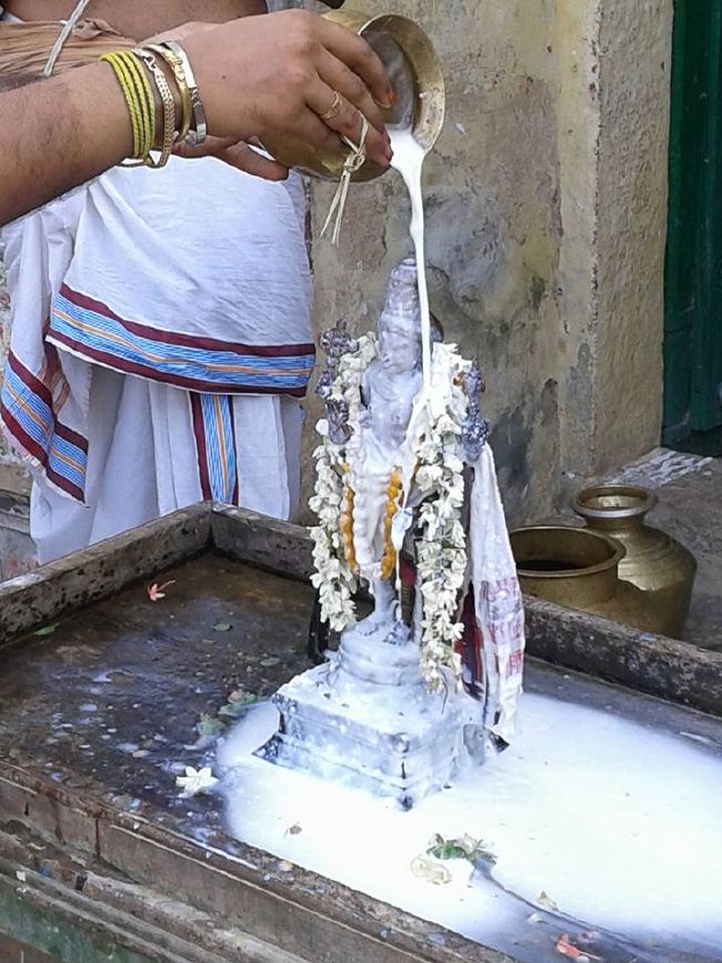 Sirupuliyur Sri Krupasamudra Perumal kovil Pavithrotsava Purappadu 2015 09