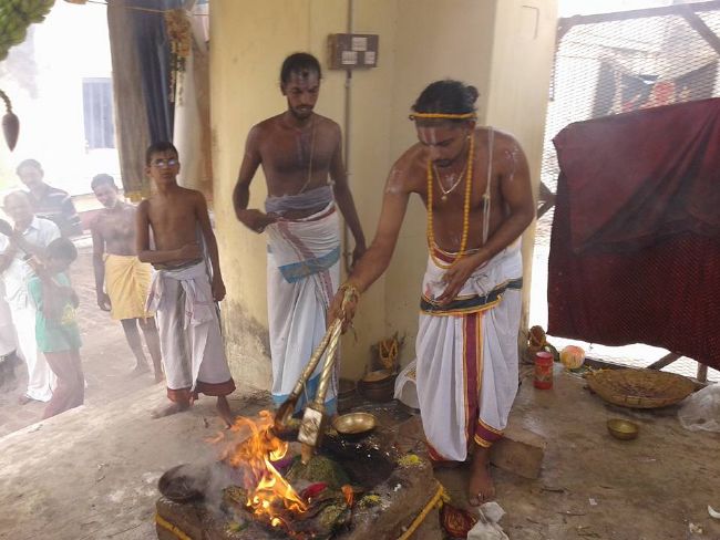 Sirupuliyur Sri Krupasamudra Perumal kovil Pavithrotsava Purappadu 2015 11