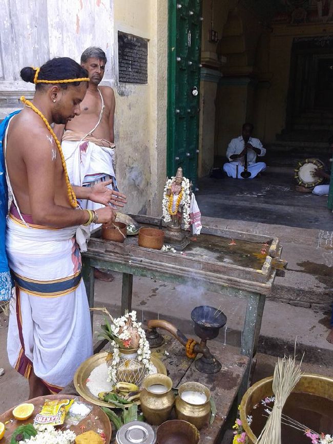 Sirupuliyur Sri Krupasamudra Perumal kovil Pavithrotsava Purappadu 2015 12