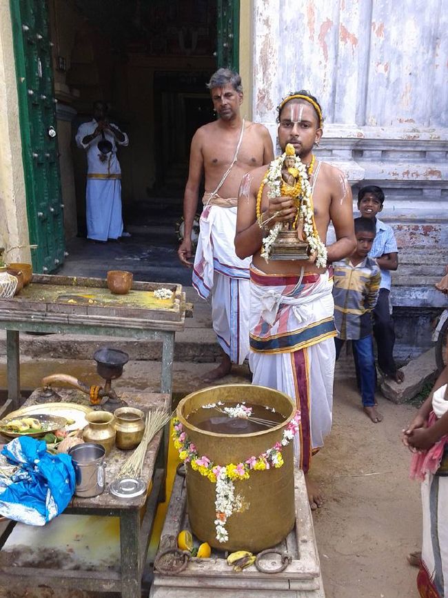 Sirupuliyur Sri Krupasamudra Perumal kovil Pavithrotsava Purappadu 2015 13