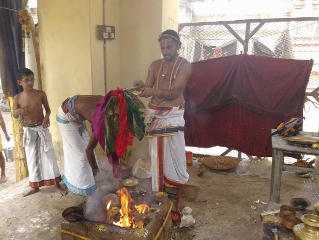 Sirupuliyur Sri Krupasamudra Perumal kovil Pavithrotsava Purappadu 2015 23