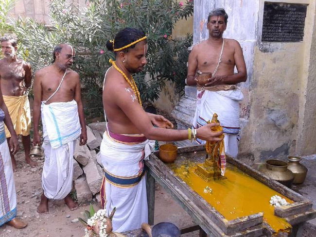 Sirupuliyur Sri Krupasamudra Perumal kovil Pavithrotsava Purappadu 2015 24