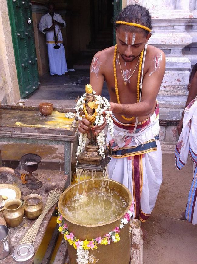 Sirupuliyur Sri Krupasamudra Perumal kovil Pavithrotsava Purappadu 2015 25
