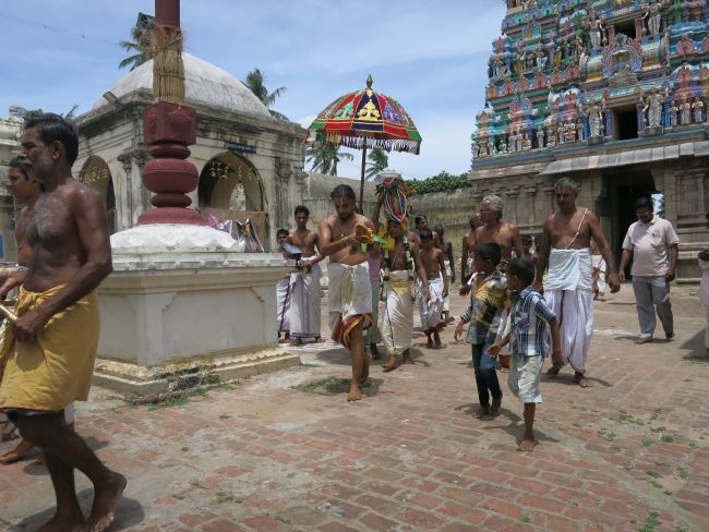 Sirupuliyur Sri Krupasamudra Perumal kovil Pavithrotsava Purappadu 2015 26