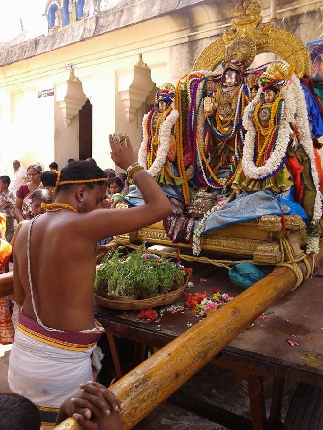 Sirupuliyur Sri Krupasamudra Perumal kovil Pavithrotsava Purappadu 2015 30