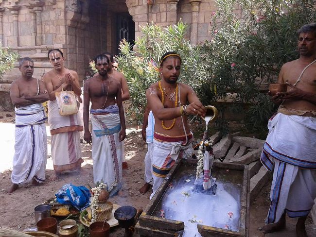 Sirupuliyur Sri Krupasamudra Perumal kovil Pavithrotsava Purappadu 2015 33