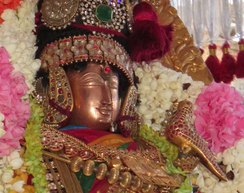 Sri Andal Kanchi Thiruvadipooram utsavam 2015-1
