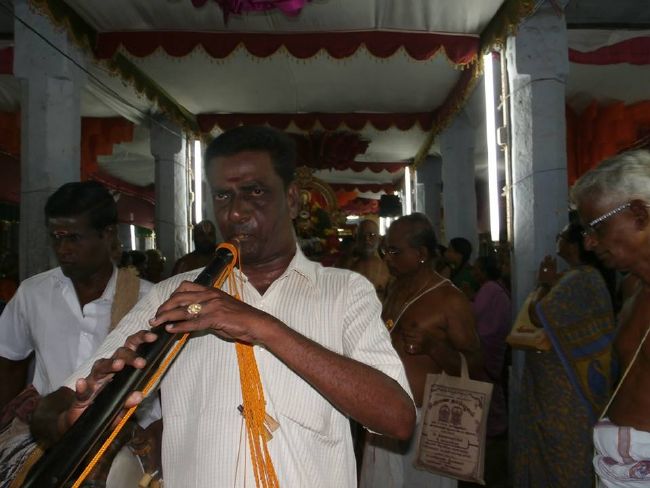 Srirangam Thirukurallappan Sannadhi Thiruvadipooram UTsavami-2015 02