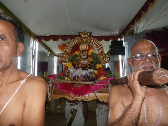 Srirangam Thirukurallappan Sannadhi Thiruvadipooram UTsavami-2015 03