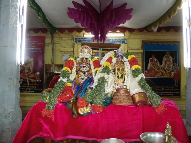 Srirangam Thirukurallappan Sannadhi Thiruvadipooram UTsavami-2015 10
