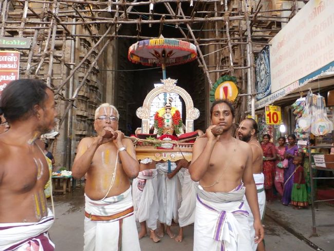 Srirangam Thirukurallappan Sannadhi Thiruvadipooram Utsavam-2015 17