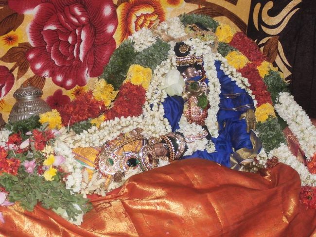 Srirangam Thirukurallappan Sannadhi Thiruvadipooram Utsavam-2015 26