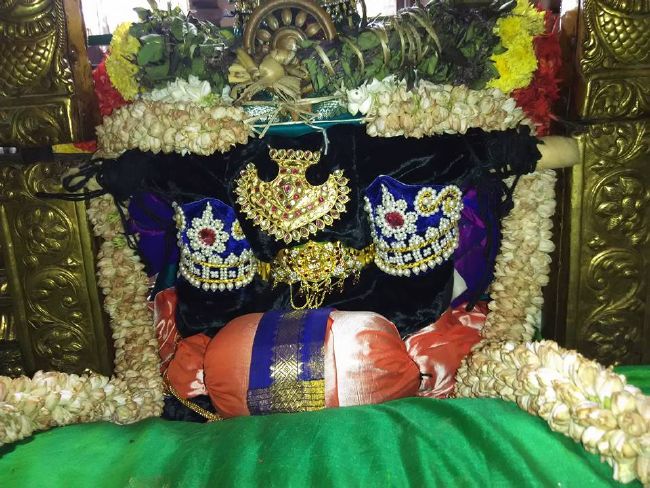 Srirangam Ul Andal Sannadhi Thiruvadipooram Utsavam  -2015 19