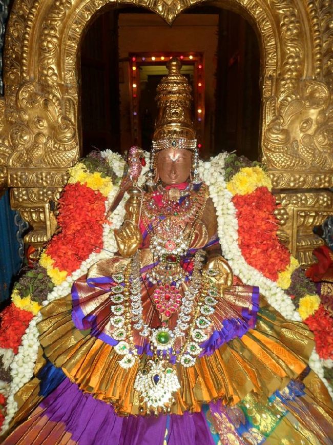 Srirangam Ul Andal Sannadhi Thiruvadipooram Utsavam  -2015 24
