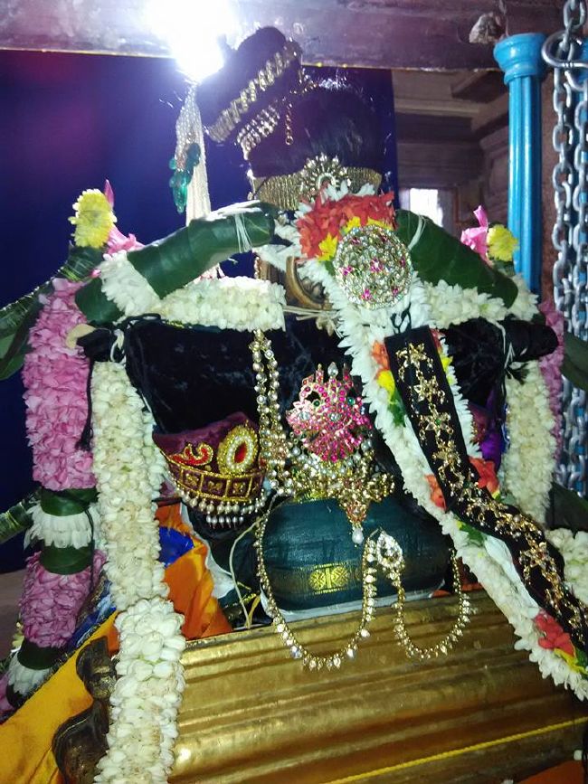 Srirangam Ul Andal Sannadhi Thiruvadipooram Utsavam  -2015 32