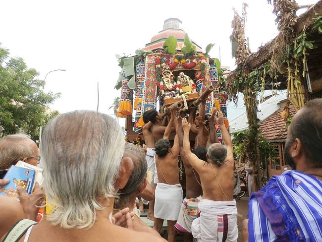 Srirangam Uthira Veedhi Desikan Sannadhi THiruvadipooram uTsavam day 8  -2015 03