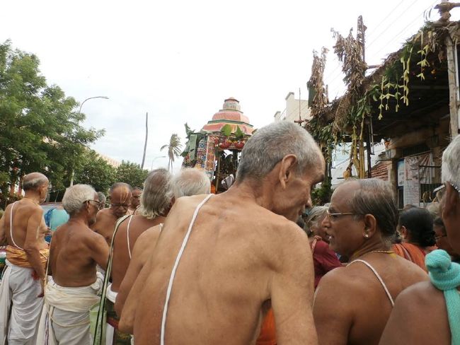 Srirangam Uthira Veedhi Desikan Sannadhi THiruvadipooram uTsavam day 8  -2015 13