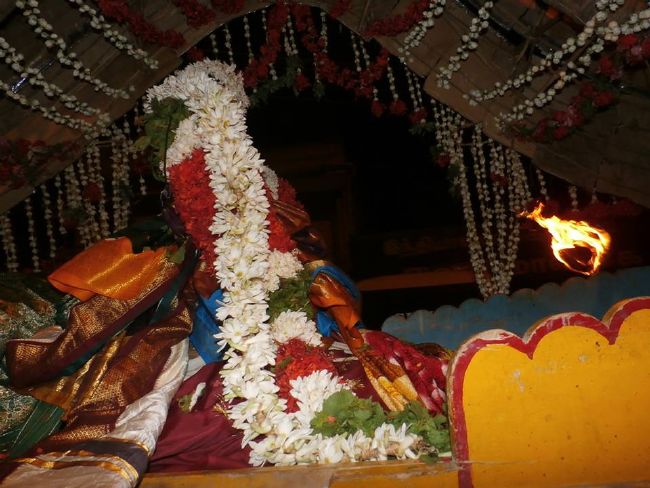 Srirangam Uthira Veedhi Desikan Sannadhi THiruvadipooram uTsavam day 9  -2015 7