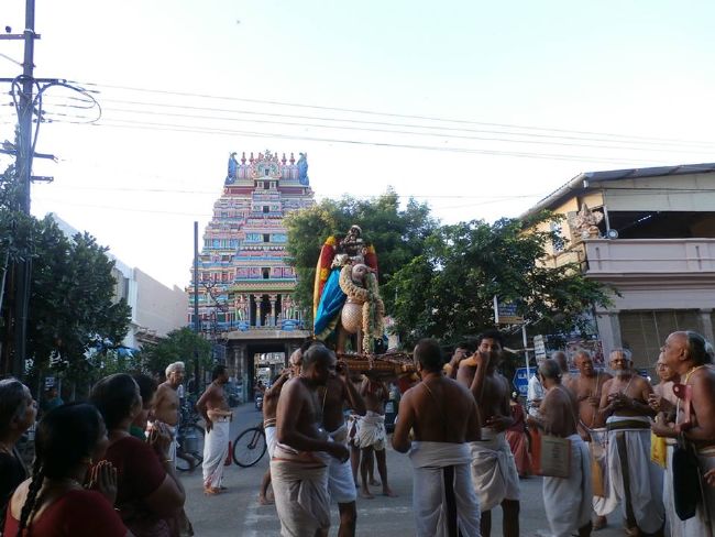 Srirangam Uthira veedhi Desikan Sannadhi Thiruvadipooram Utsavam day 4-2015 07