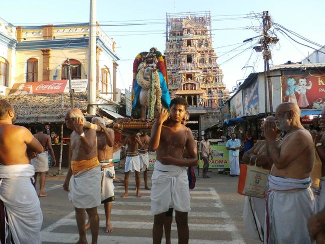 Srirangam Uthira veedhi Desikan Sannadhi Thiruvadipooram Utsavam day 4-2015 12