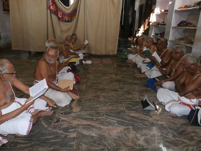 Srirangam Uthira veedhi Desikan Sannadhi Thiruvadipooram Utsavam day 5-2015 8