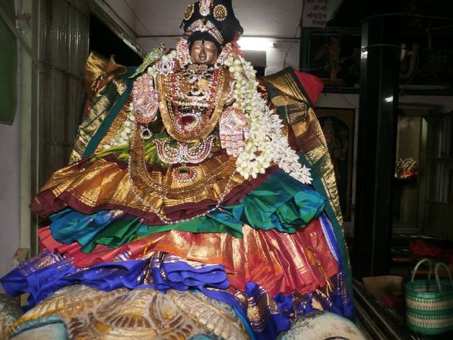 Srirangam Uthira veedhi Desikan Sannadhi Thiruvadipooram Utsavam day 6-2015 1