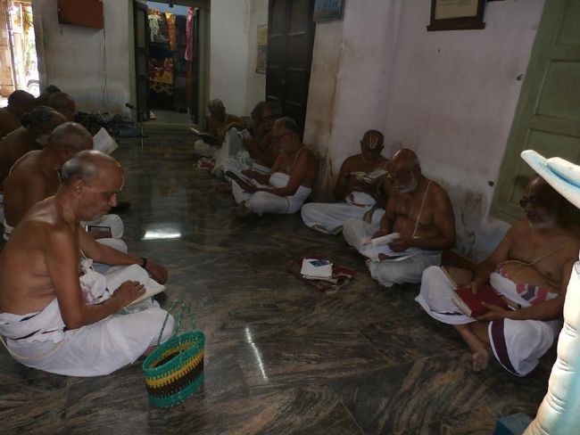 Srirangam Uthira veedhi Desikan Sannadhi Thiruvadipooram Utsavam day 6-2015 5