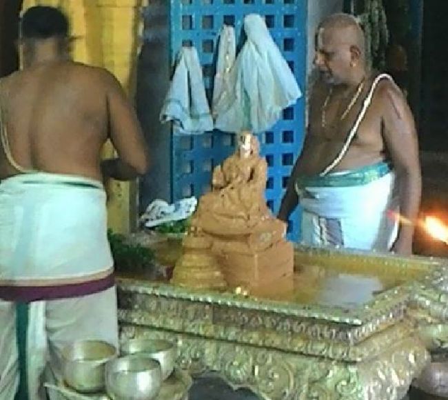 Swami Koorathazhwan Avani Hastham Purappadu at Kooram -2015 24