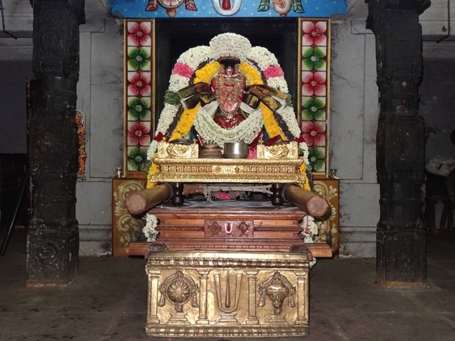 THiruvaheendrapuram Sri Devanatha Perumal Kovil Aadi Sravana Purappadu-2015-00