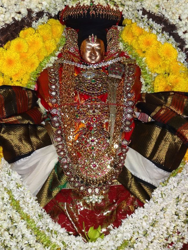 THiruvaheendrapuram Sri Devanatha Perumal Kovil Aadi Sravana Purappadu-2015-01