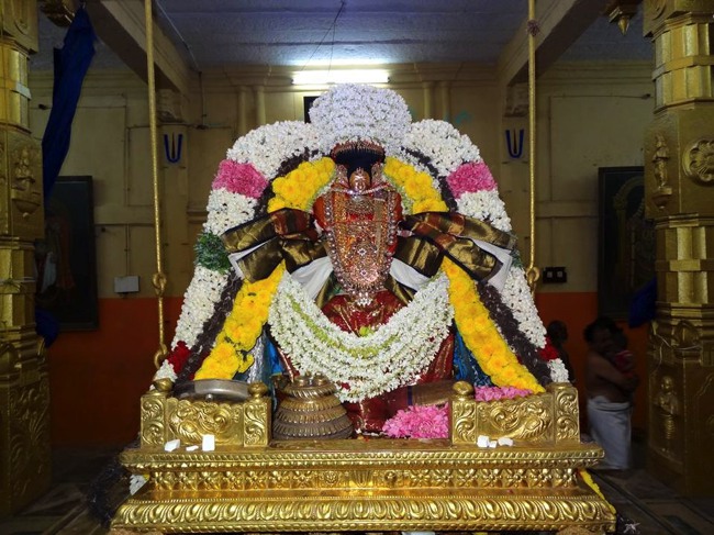 THiruvaheendrapuram Sri Devanatha Perumal Kovil Aadi Sravana Purappadu-2015-02