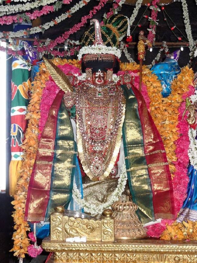 THiruvahindrapuram Sri Devanathan Perumal Temple Thiruvadipooram Utsavam -2015 04