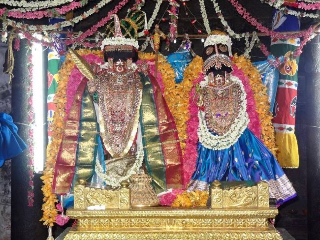 THiruvahindrapuram Sri Devanathan Perumal Temple Thiruvadipooram Utsavam -2015 07
