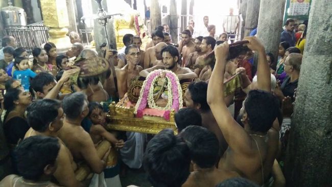 THiruvahindrapuram Sri Devanathan Perumal Temple Thiruvadipooram Utsavam -2015 12