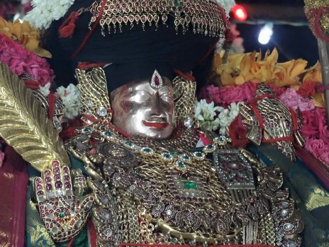 THiruvahindrapuram Sri Devanathan Perumal Temple Thiruvadipooram Utsavam -2015 19