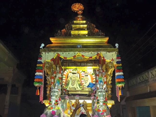 THiruvahindrapuram Sri Devanathan Perumal Temple Thiruvadipooram Utsavam -2015 31