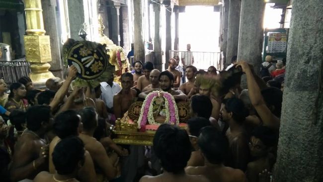 THiruvahindrapuram Sri Devanathan Perumal Temple Thiruvadipooram Utsavam -2015 32