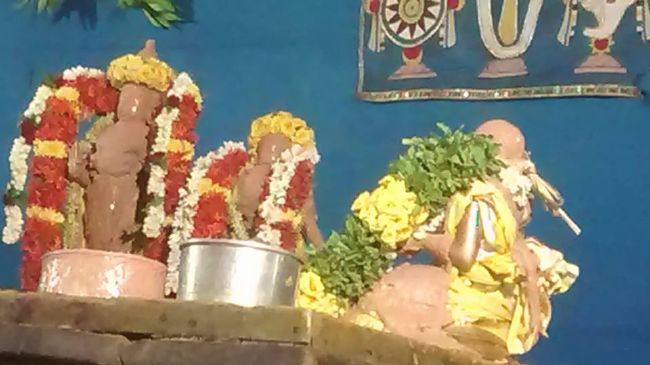 THiruvahindrapuram Sri Devanathan Perumal Temple Thiruvadipooram Utsavam -2015 34